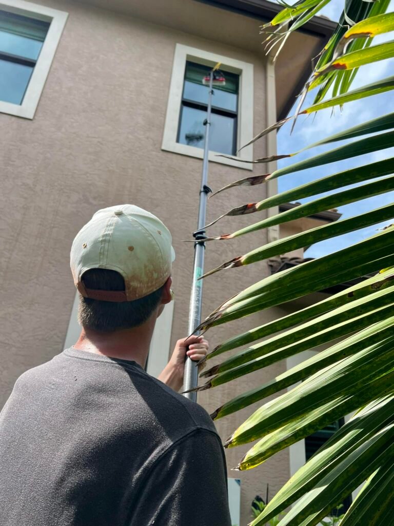 Palm City window washing near me